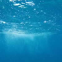 Katowickie Wodociągi S.A.