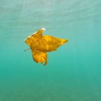 Katowickie Wodociągi S.A.